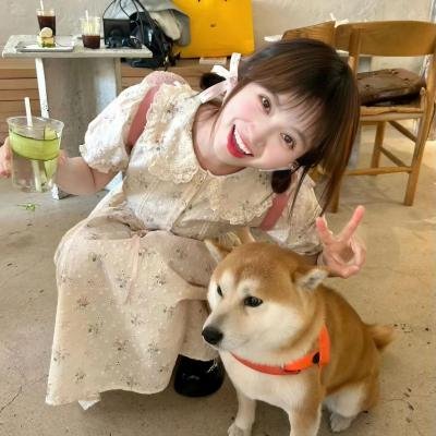 墙里的秘密